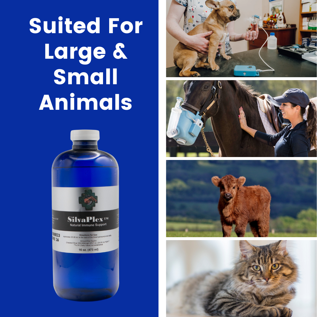 silvaplex respiratory solution