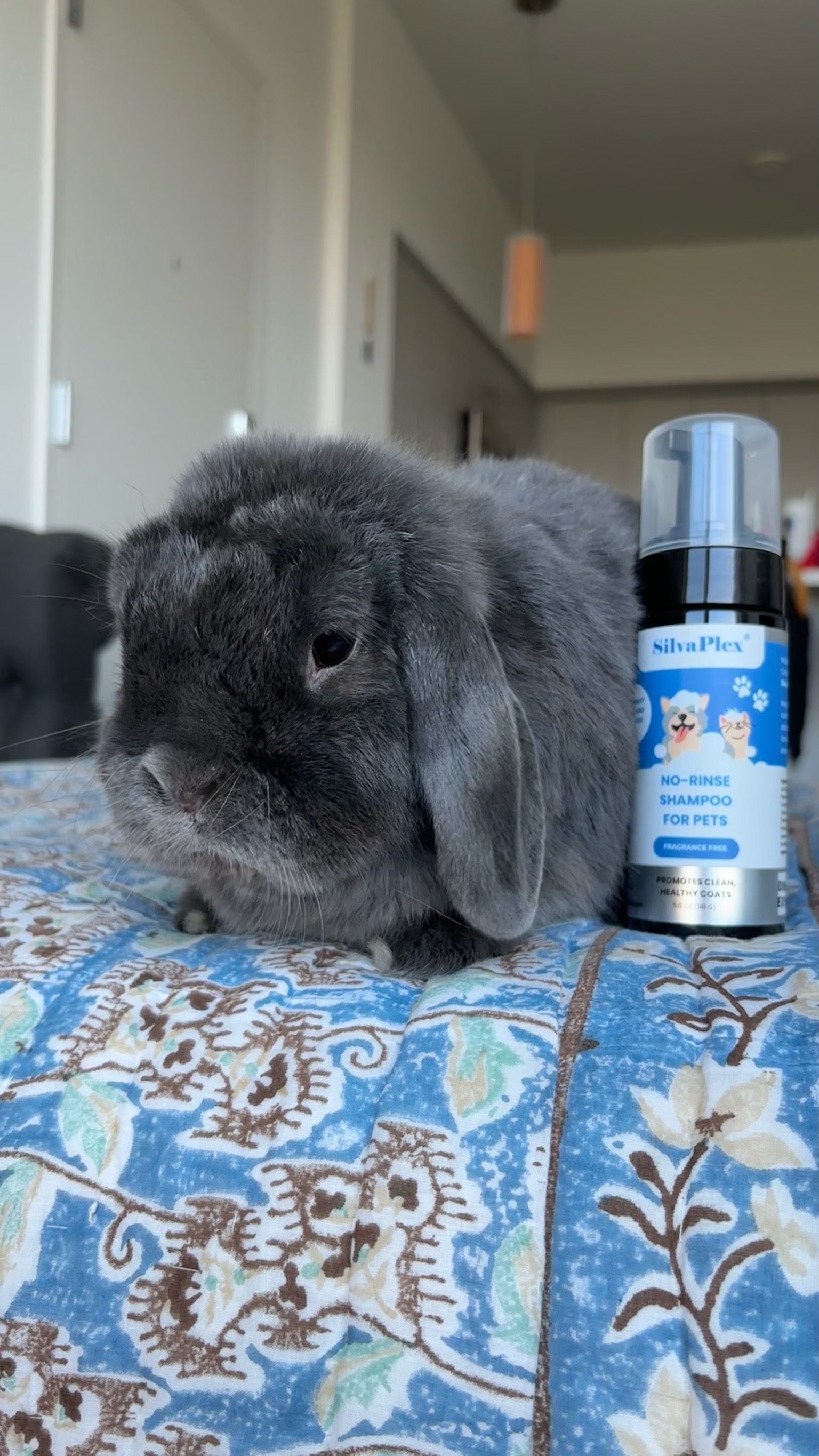 SilvaPlex® Waterless No Rinse Pet Shampoo for Dogs, Cats, Rabbits & Small Animals