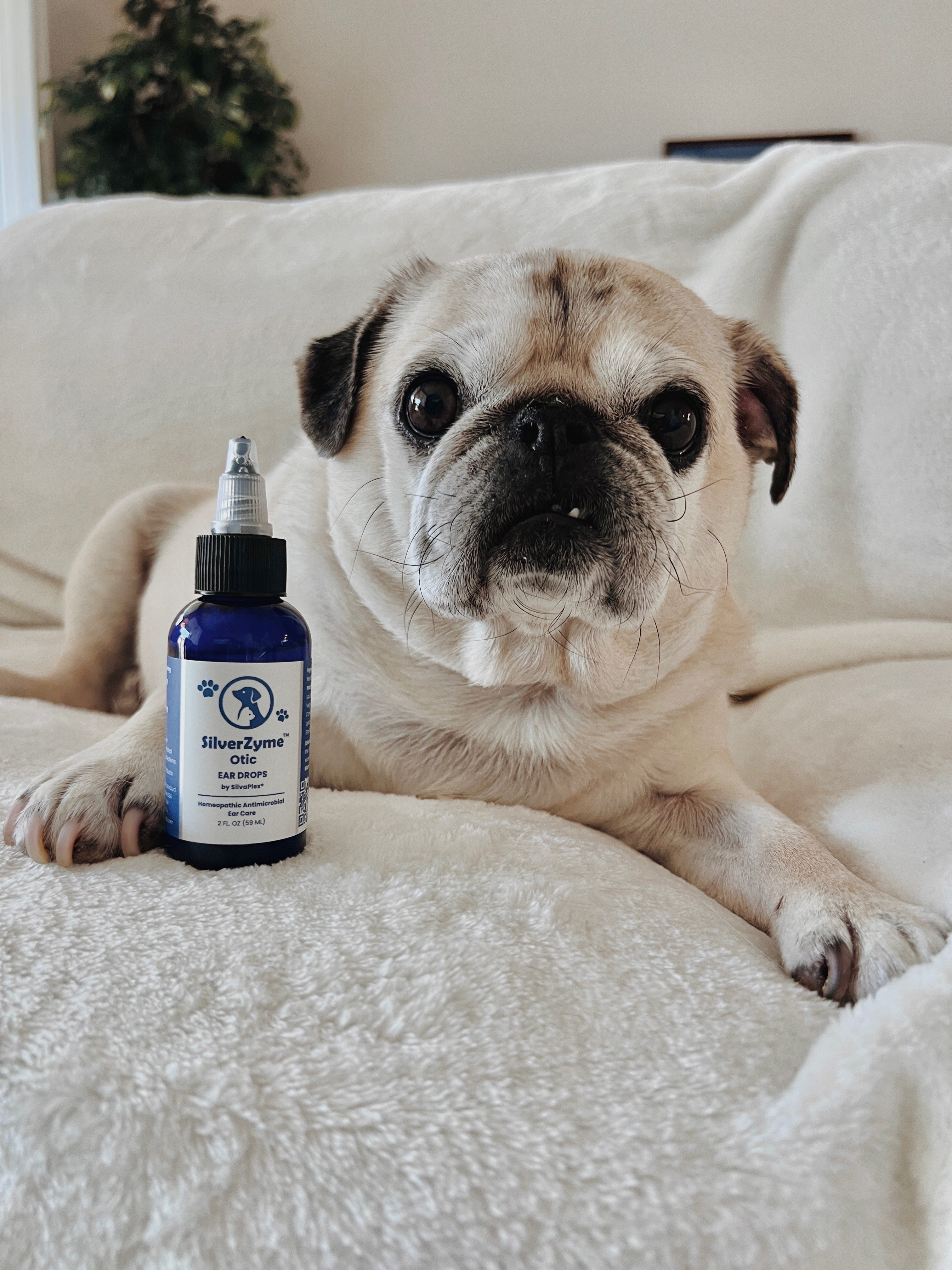 SilverZyme™ Otic Ear Drops | Antiseptic Pet Ear Drops