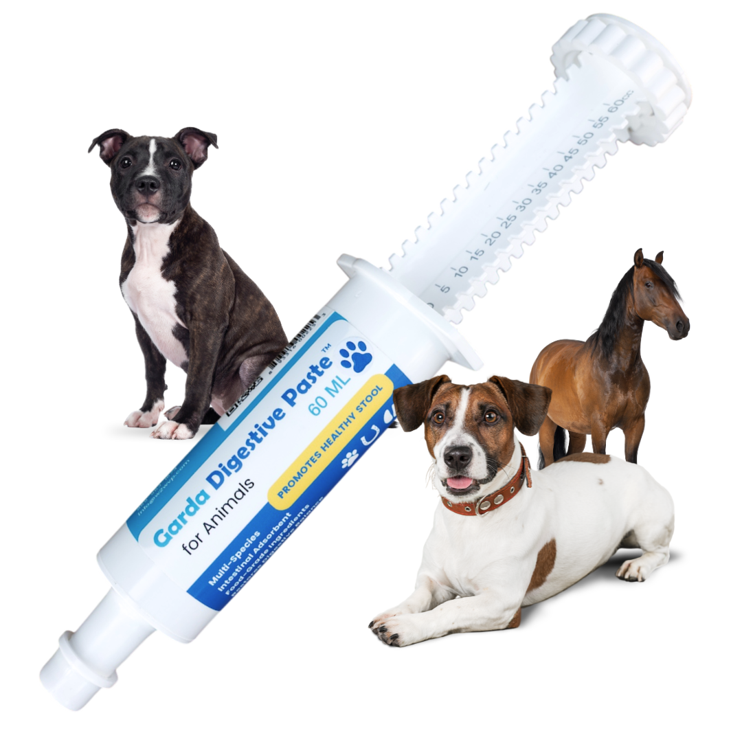 Garda Digestive™ Paste - Natural Gut Health Support for Dogs & Large Animals | Bentonite Clay & L-Glutamine Digestive Comfort