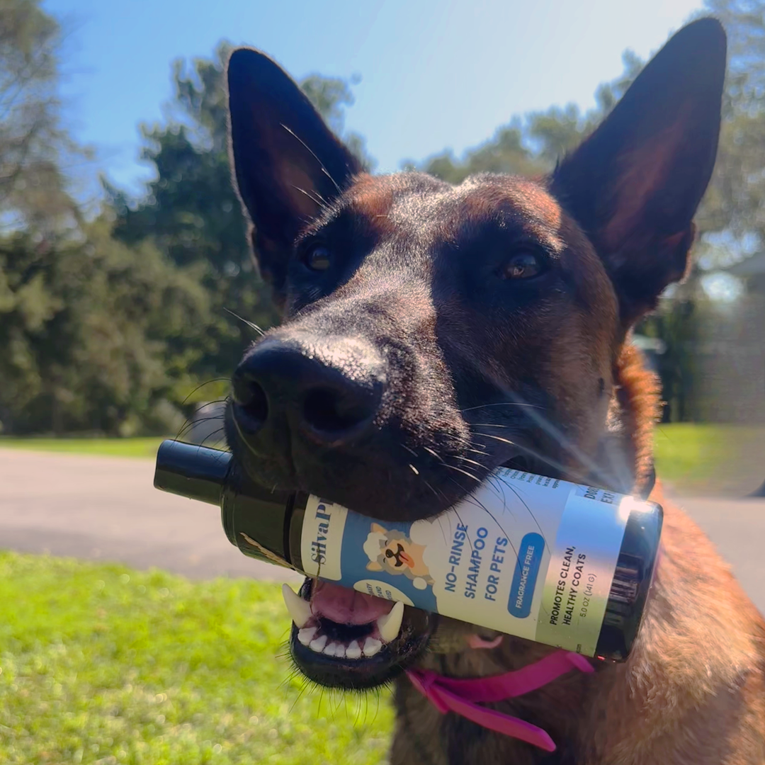 No Rinse Foam Shampoo for Animals | Waterless Pet Shampoo