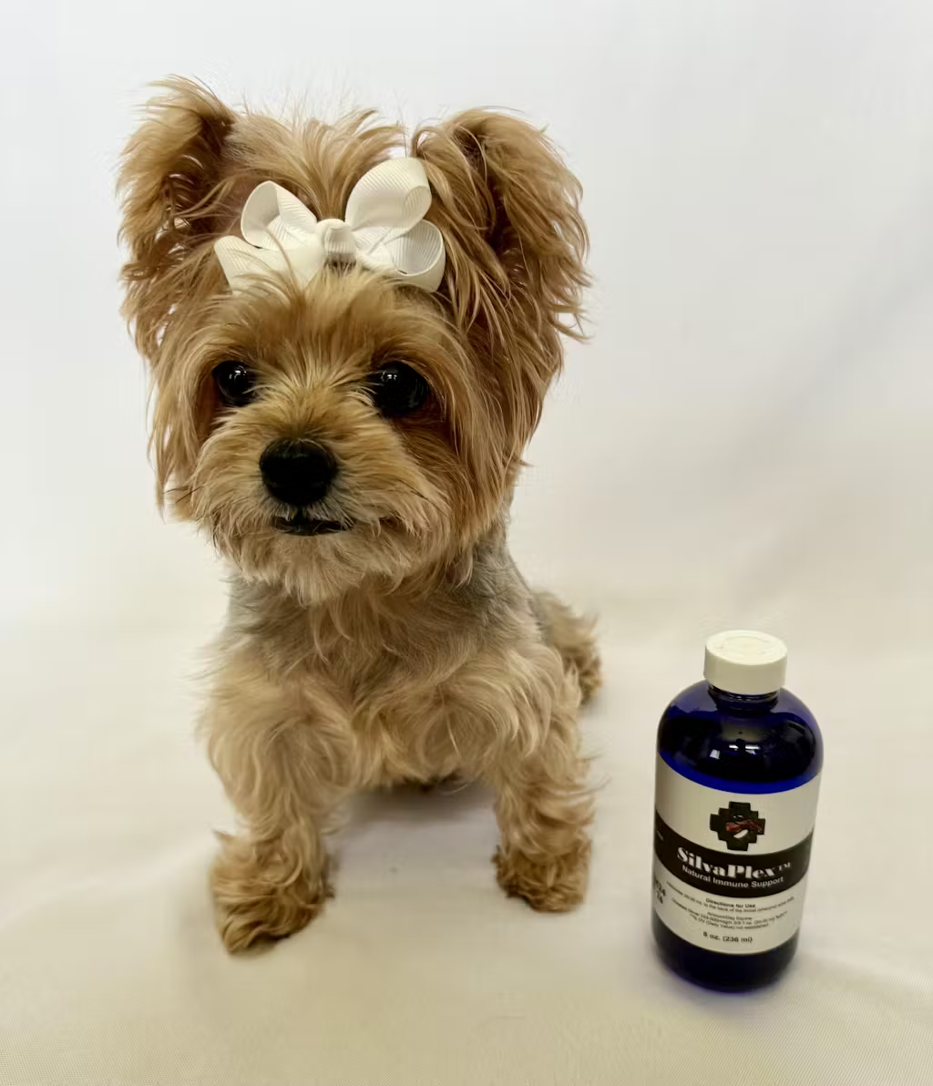 SilvaPlex Respiratory Solution