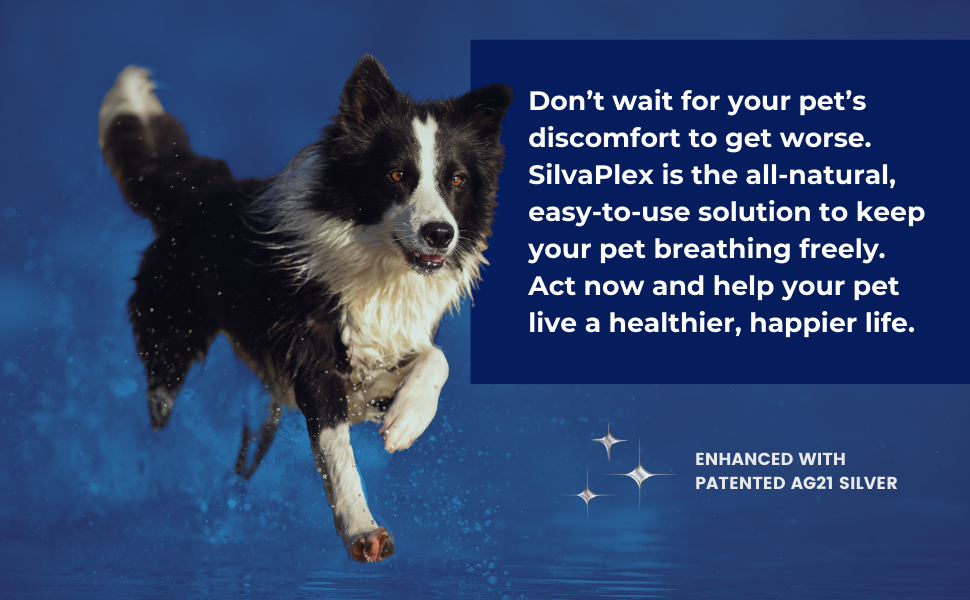 SilvaPlex Chelated Silver Respiratory Solution for Immune Support