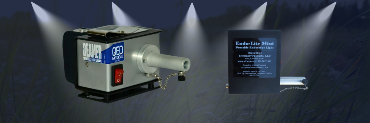 Illuminate Your Veterinary Work with Endo-Lite Portable Endoscope Power Sources