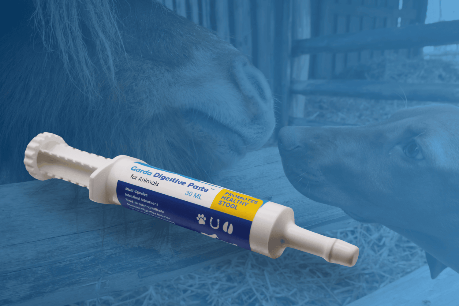 Gentle Digestive Relief for Pets and Horses with Garda Digestive™ Paste