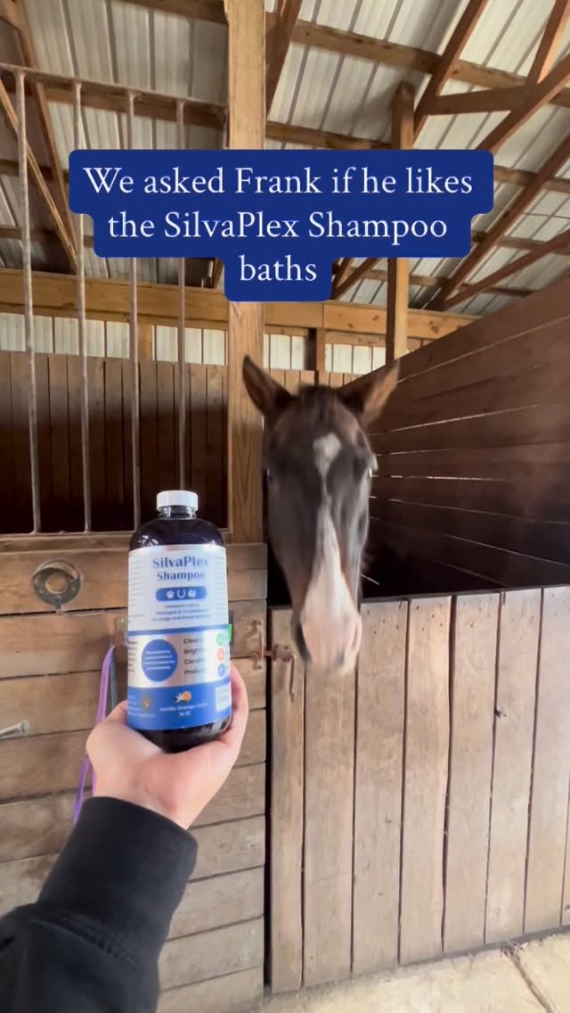 SilvaPlex Ag21 Silver Pet Shampoo | Advanced Care for Cats, Dogs, Cattle and Horses