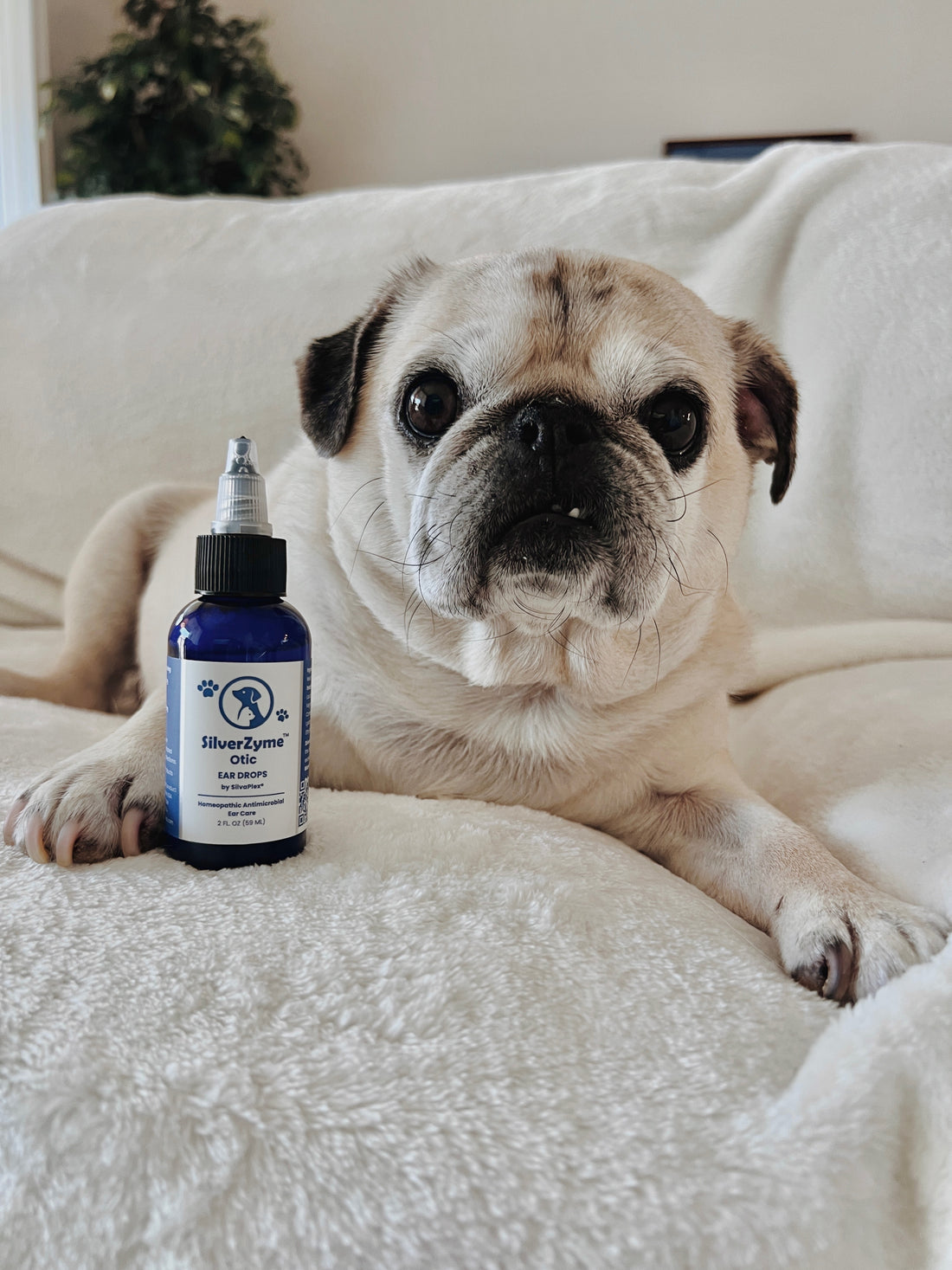 SilverZyme™ Otic Ear Drops | Antiseptic Pet Ear Drops