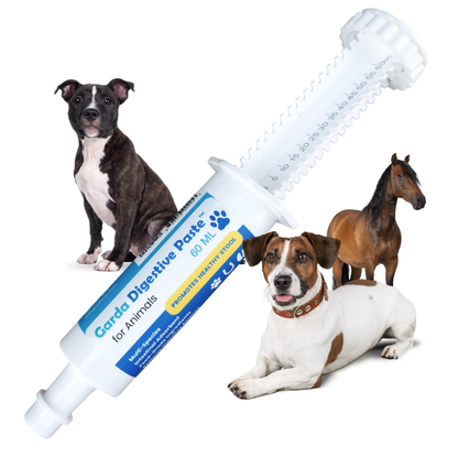 Garda Digestive™ Paste - Natural Gut Health Support for Dogs &amp; Large Animals | Bentonite Clay &amp; L-Glutamine Digestive Comfort