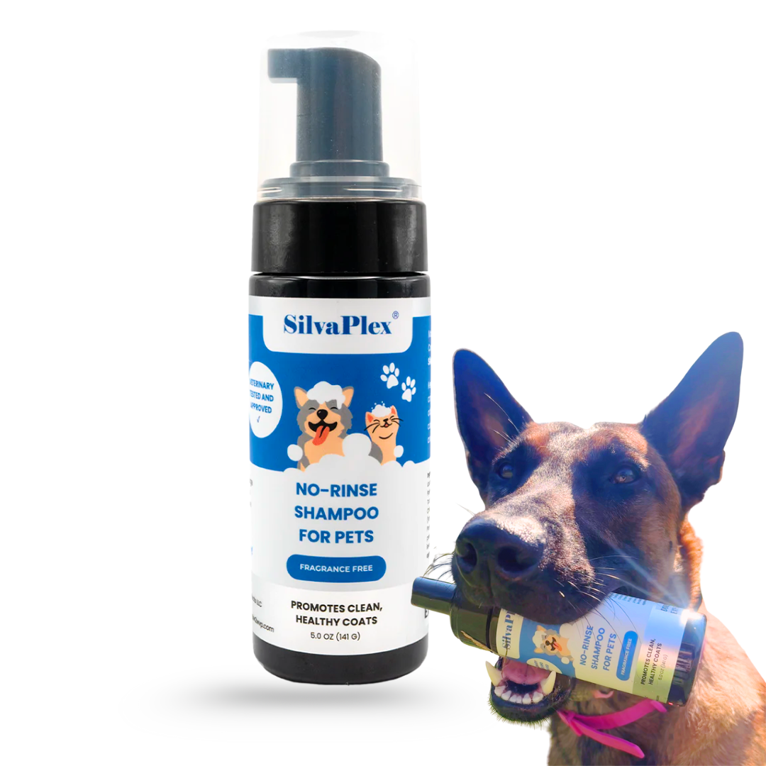 No Rinse Foam Shampoo for Pets – SilvaPlex Waterless Pet Shampoo
