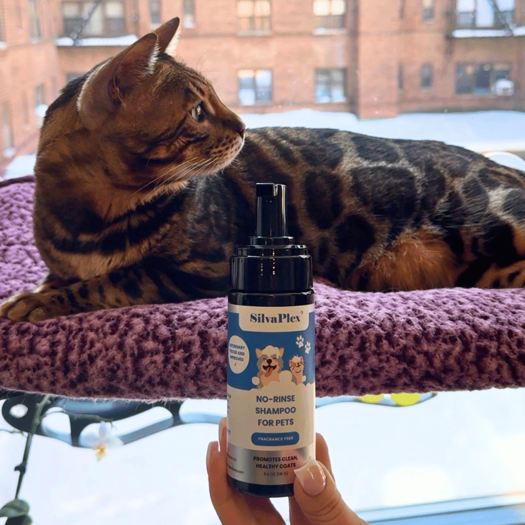 SilvaPlex® Waterless No Rinse Pet Shampoo for Dogs, Cats, Rabbits &amp; Small Animals