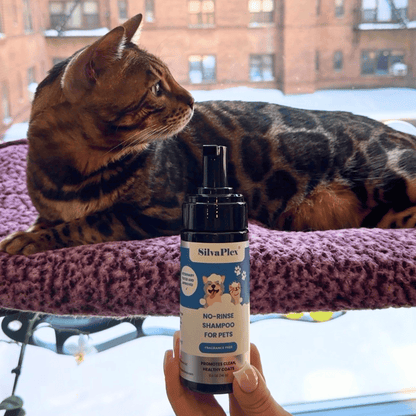 SilvaPlex® Waterless No Rinse Pet Shampoo for Dogs, Cats, Rabbits &amp; Small Animals