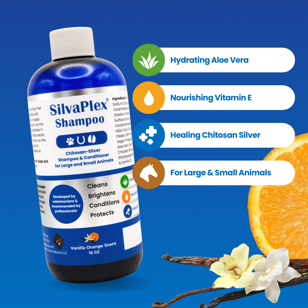 SilvaPlex Ag21 Chelated Silver Pet Shampoo | SilvaPlex Shampoo for Large and Small Animals