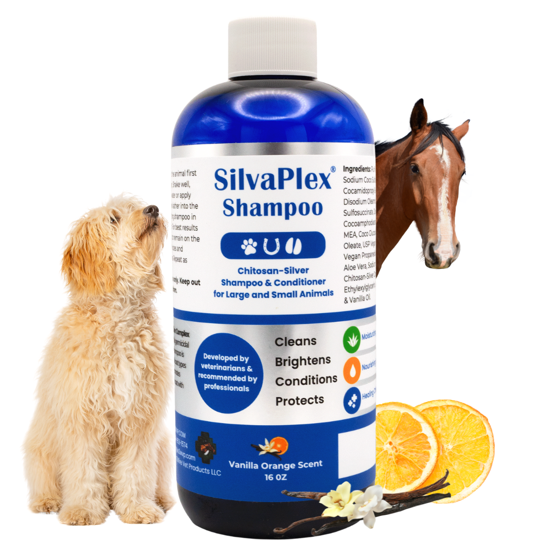 SilvaPlex Ag21 Chelated Silver Pet Shampoo | SilvaPlex Pet Shampoo