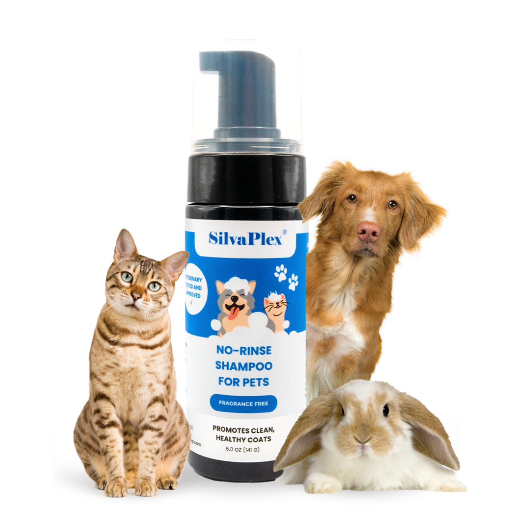 SilvaPlex® No Rinse Foam Shampoo for Animals | Waterless Pet Shampoo