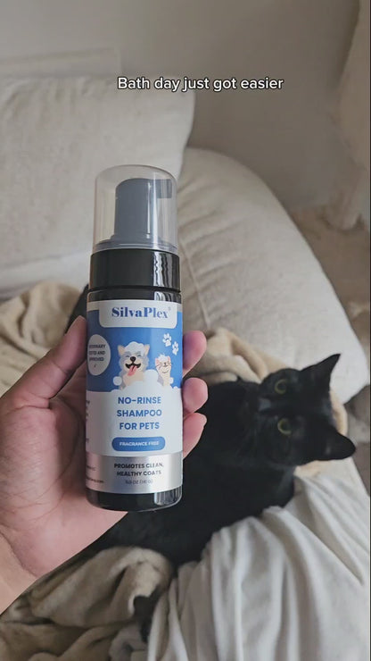 No Rinse Shampoo for Cats